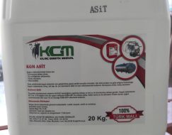 KGM ASİT 20 KG (KARGO HARİÇ)